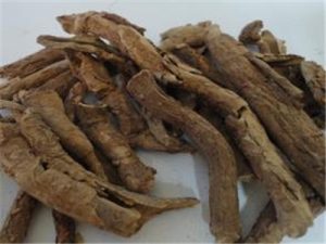 香加皮：从属性认知到功效探究，精选方剂大盘点?插图1