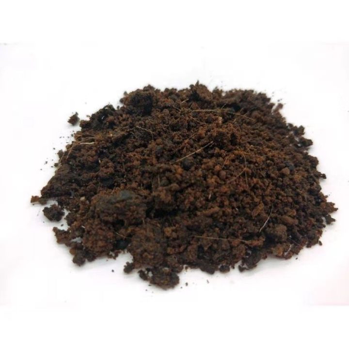 麝香：麝香中药属性大揭秘！性状、主治详述，方剂配伍如何抉择？插图