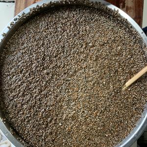 探索炒苏子：独特属性解锁健康密码，经典方剂助力身体调养？插图1