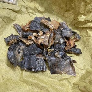 蛤蚧中药属性大全：形态特征、功效作用及主治病症详解插图1