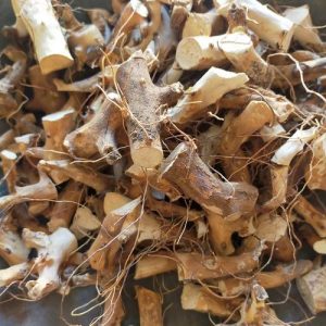 龙骨：深度剖析属性，解锁平肝潜阳等功效及传统实用方剂？插图1