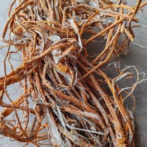 槐树根皮：深度探究属性，凉血止血等功效及方剂推荐?插图1