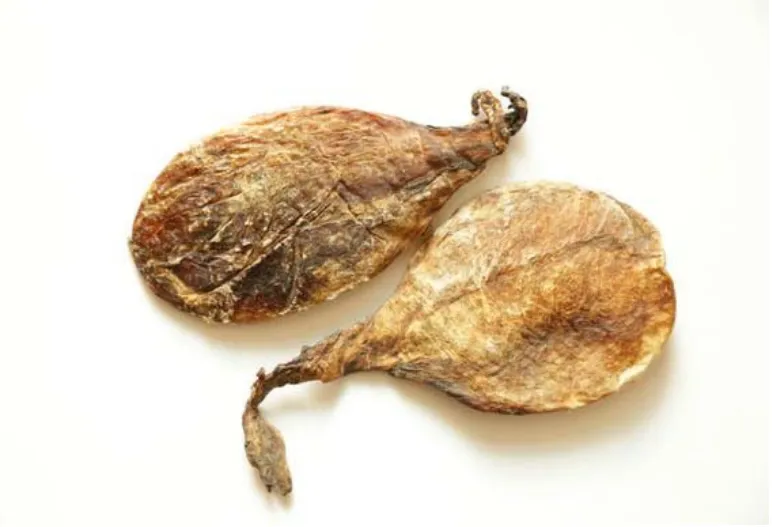 熊胆：熊胆中药属性知多少？性状、主治症状，方剂配置有何诀窍？插图