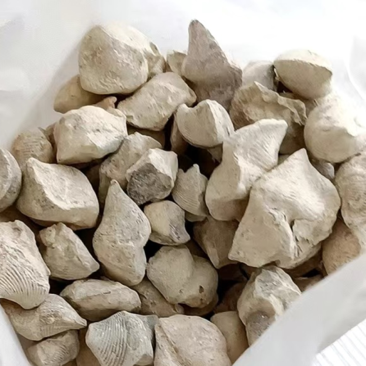 石燕：石燕中药属性独特之处？性状、主治症状，方剂选择有何要点？插图