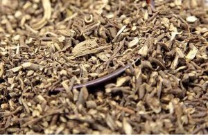 醋柴胡的属性与功效大揭秘：传统医学中的特色方剂知多少？插图1