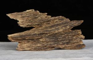 沉香中药的属性、功效与作用及方剂搭配详解？插图