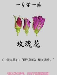 玫瑰花：浪漫玫瑰不只是美，裕亨中药揭示其养生奥秘与专属方剂？插图