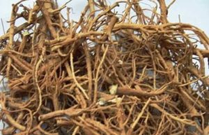 醋柴胡的属性与功效大揭秘：传统医学中的特色方剂知多少？插图2