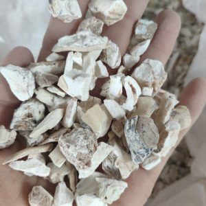 龙齿：探索龙齿属性，解析镇惊安神功效与对应经典方剂？插图1