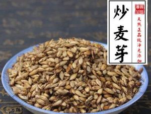 炒麦芽：独特属性与养生功效，经典方剂助力健康？插图1