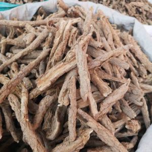 地骨皮：探索其神秘属性，镇痛等功效与特色方剂大揭秘插图