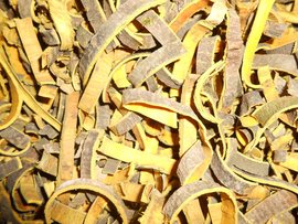 黄柏根皮：根皮属性与药用价值，特色方剂全攻略插图1