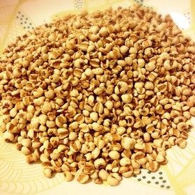 解密炒薏米：从奇妙属性到养生功效，精选方剂呈上？插图2