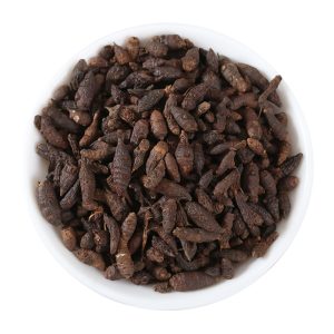 醋香附：深度解析其属性功效，经典方剂为健康护航？插图1