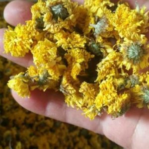 怀菊花：怀庆府里菊花娇，养生功效与方剂，裕亨中药细细聊？插图1