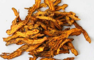 酒黄连：传统炮制下的属性蜕变，特色方剂大赏？