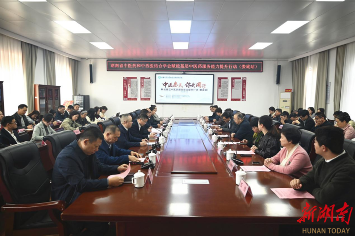 湖南省 “赋能基层中医药服务能力提升” 行动(娄底站)启动,助力基层中医药发展插图 湖南省 “赋能基层中医药服务能力提升” 行动(娄底站)启动,助力基层中医药发展插图