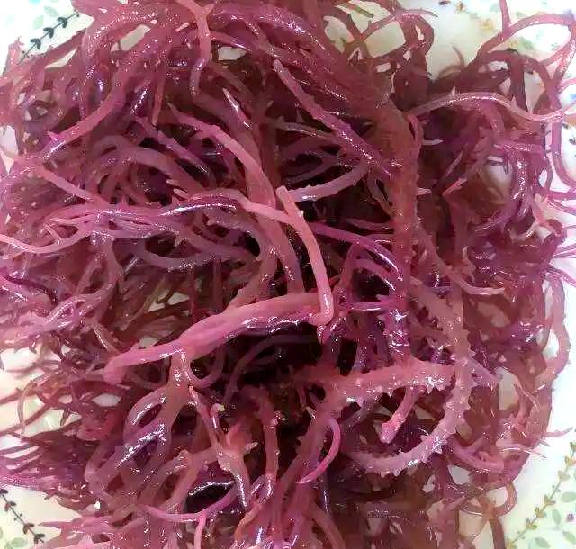 麒麟菜：走进属性天地，掌握功能主治、药材性状与美味吃法？