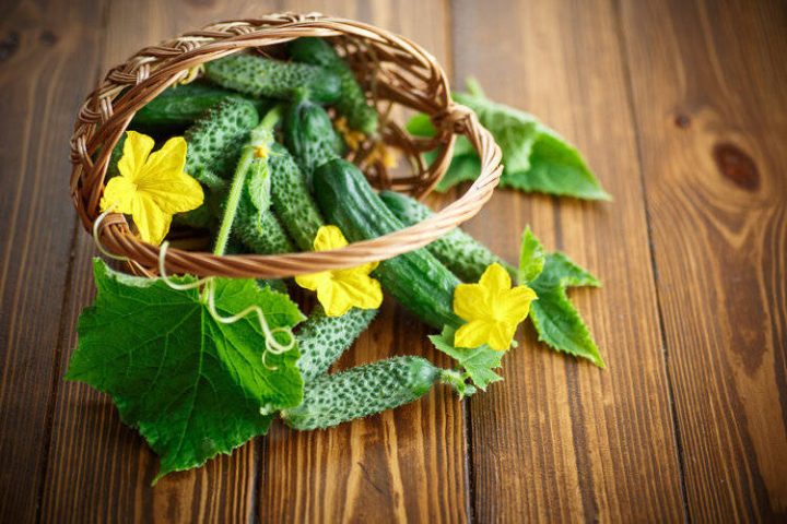 激素食物真相大揭秘：黄瓜、豆腐、鸡蛋含激素吗，能不能吃？插图1