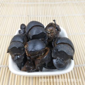 蜣螂中药的属性特征、药用功效与作用及对症方剂举例插图2