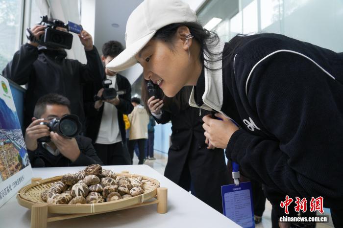 两岸媒体聚焦西峡：探寻中医药文化与现代工艺融合之路插图1