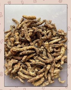 僵蚕中药属性详解：炮制属性、核心功效作用及经典方剂汇总插图2