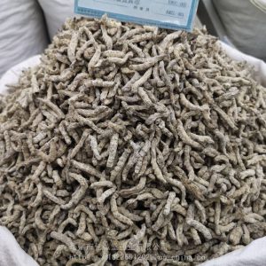 僵蚕中药属性详解：炮制属性、核心功效作用及经典方剂汇总插图1