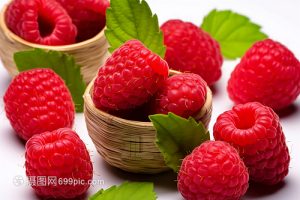 覆盆子：益肾中药的属性、功效与作用及方剂推荐插图2