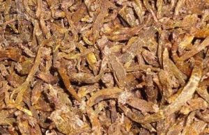 酒黄连：传统炮制下的属性蜕变，特色方剂大赏？插图2