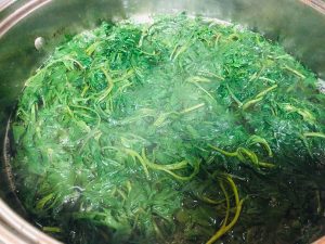 艾叶中药：性味归经属性、温经散寒功效与作用，附艾灸常用方剂插图2