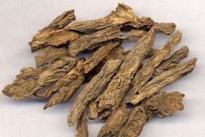 赤石脂：探索赤石脂属性，解析涩肠止泻与止血功效及经典方剂插图1