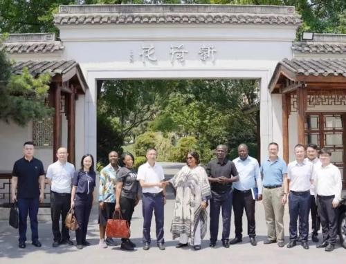 新荷花冲刺港股：标准化、数字化、全球化驱动中药饮片产业新变革插图3