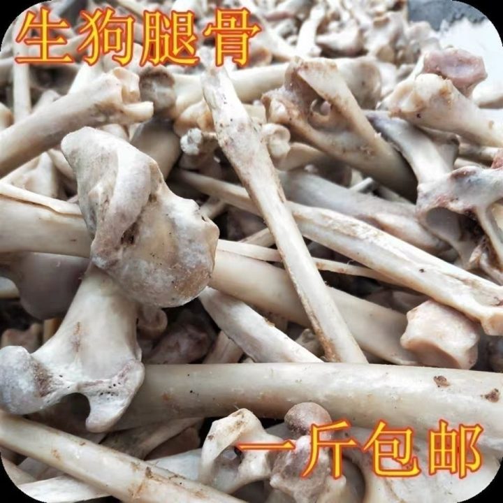 狗骨：狗骨中药属性有何特点？性状、主治症状，方剂选择方向？插图1