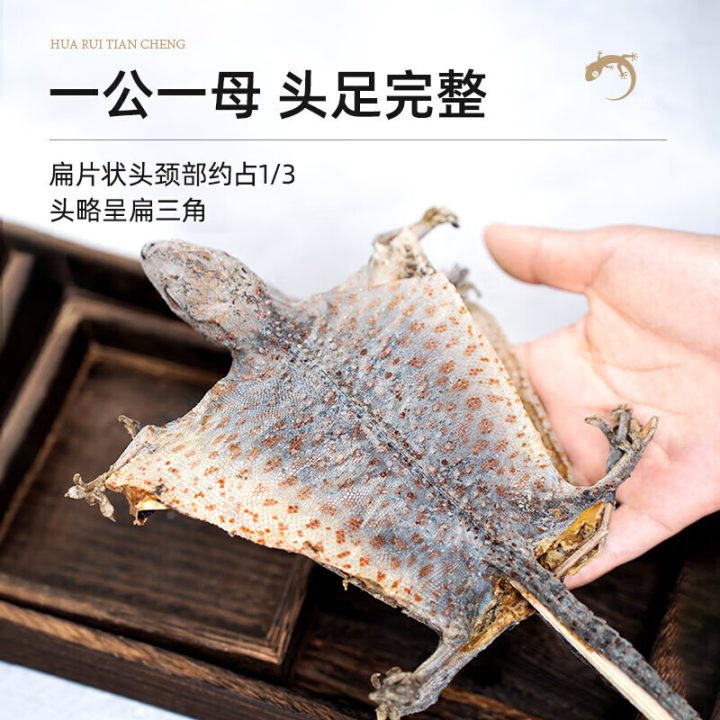 蛤蚧：蛤蚧中药属性是什么？性状、主治症状，方剂配伍如何选择？插图