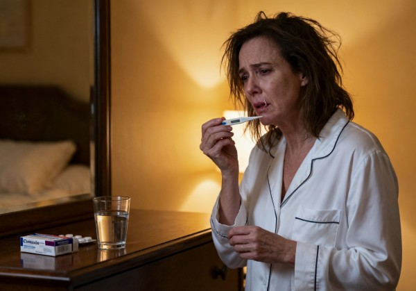 决明子泡水喝的用途？清肝明目降血压的养生良方