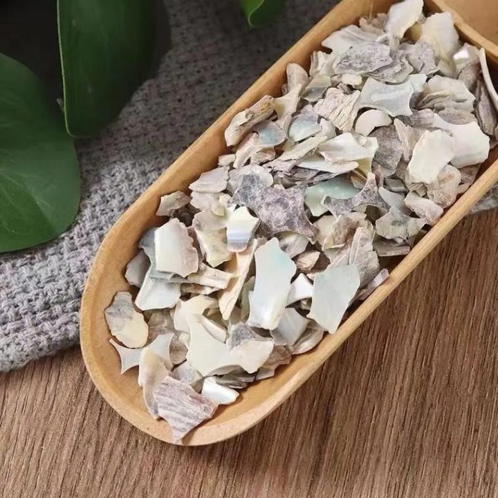 石决明：探寻石决明中药属性！性状特征与主治，土方应用怎样考量？