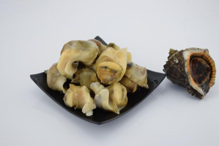 海螺壳：海螺壳中药属性解析！性状、主治情况，土方选用要点？