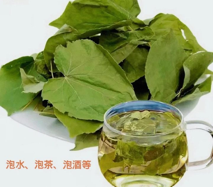 淫羊藿中药：补肾阳功效解析，性味属性特征及强筋健骨经典方剂插图2