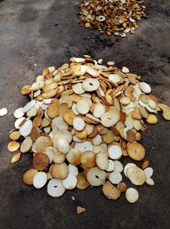 炒山药：深度解析属性，美味养生方剂不容错过？