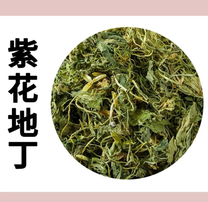 紫花地丁:探索属性魅力,解锁功能主治、药材性状及创意吃法?插图 紫花地丁:探索属性魅力,解锁功能主治、药材性状及创意吃法?插图