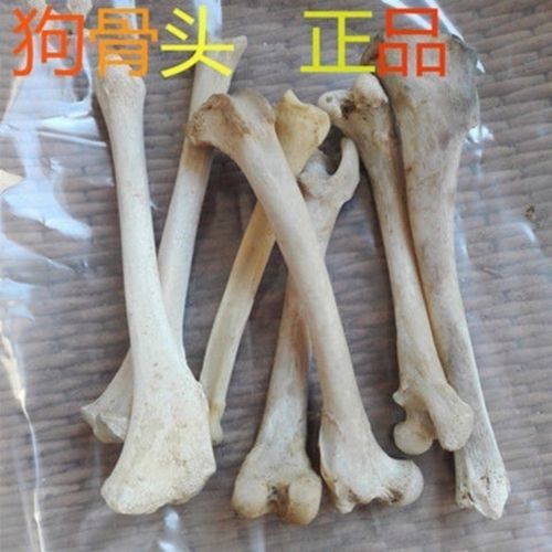 狗骨：狗骨中药属性有何特点？性状、主治症状，方剂选择方向？