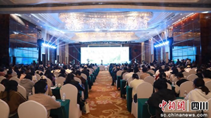 中华中医药学会骨伤科分会年会在泸召开，专家齐聚能为骨伤领域带来哪些新思路？