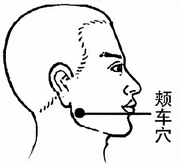 分享 5 个抗衰穴位，“以通为补” 抗衰与医美相比有何优势？插图4