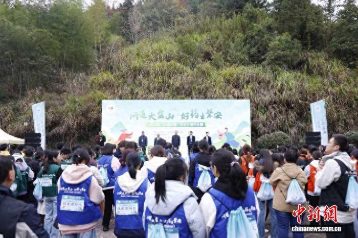 “问道大盘山・好药出磐安” 大学生寻药比赛开赛，如何以赛促中医药人才培养与文化传播？