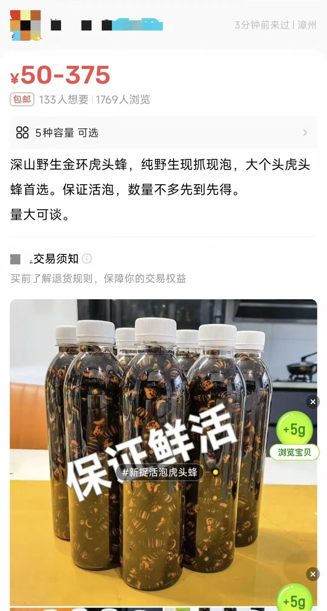 号称能治病的金环虎头蜂泡酒现身直播间和二手平台，真有效吗？有何风险？插图1