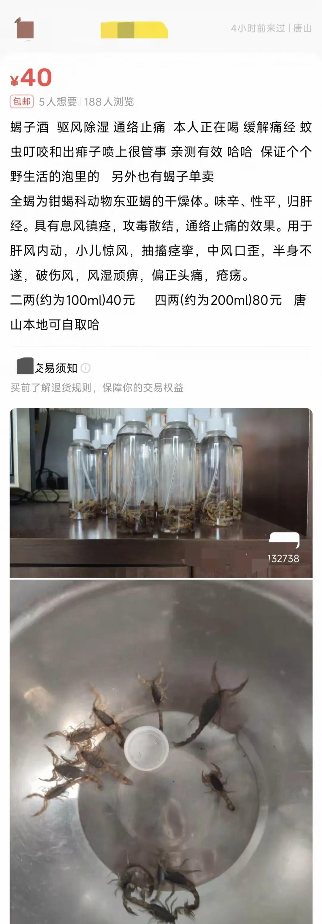号称能治病的金环虎头蜂泡酒现身直播间和二手平台，真有效吗？有何风险？插图2