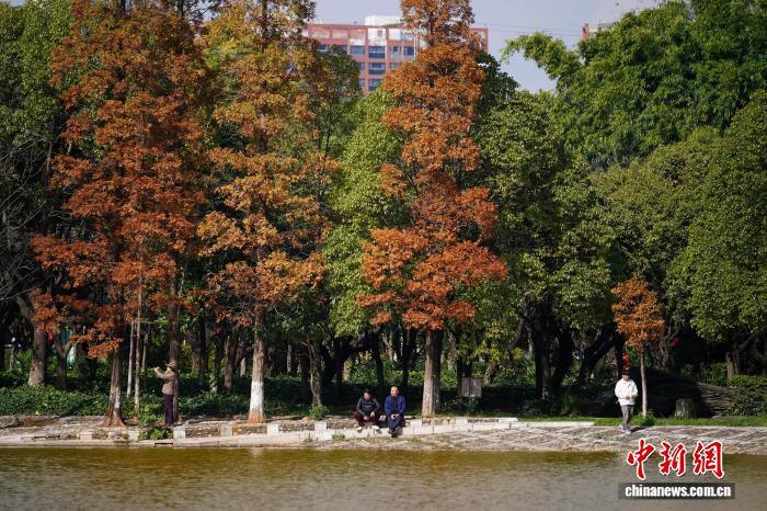 冬季养生热议，浙江省台州医院中医专家详解 “洋葱穿衣法”、饮食与锻炼晒太阳等要点？插图2