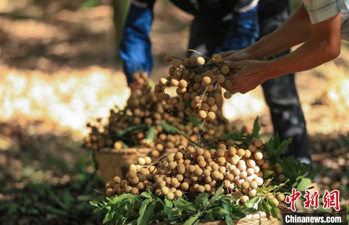 冬季养生引热议，浙江省台州医院中医专家教你 “洋葱穿衣”、饮食、锻炼及晒太阳窍门？插图1