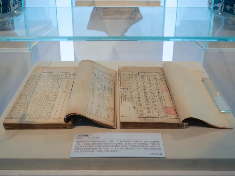 “当归黄浦春 —— 海上中医与健康生活” 特展有哪些亮点？如何展现海派中医魅力？插图5