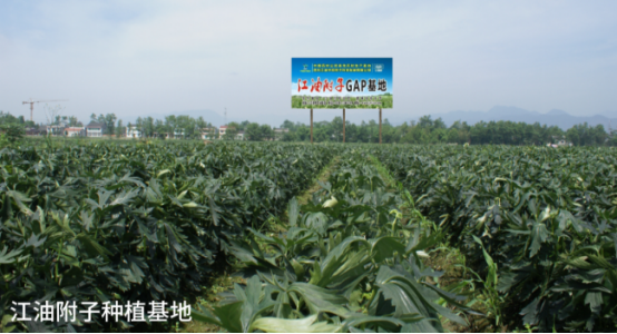 破解发展难题，探索创新路径，打造示范样板插图40